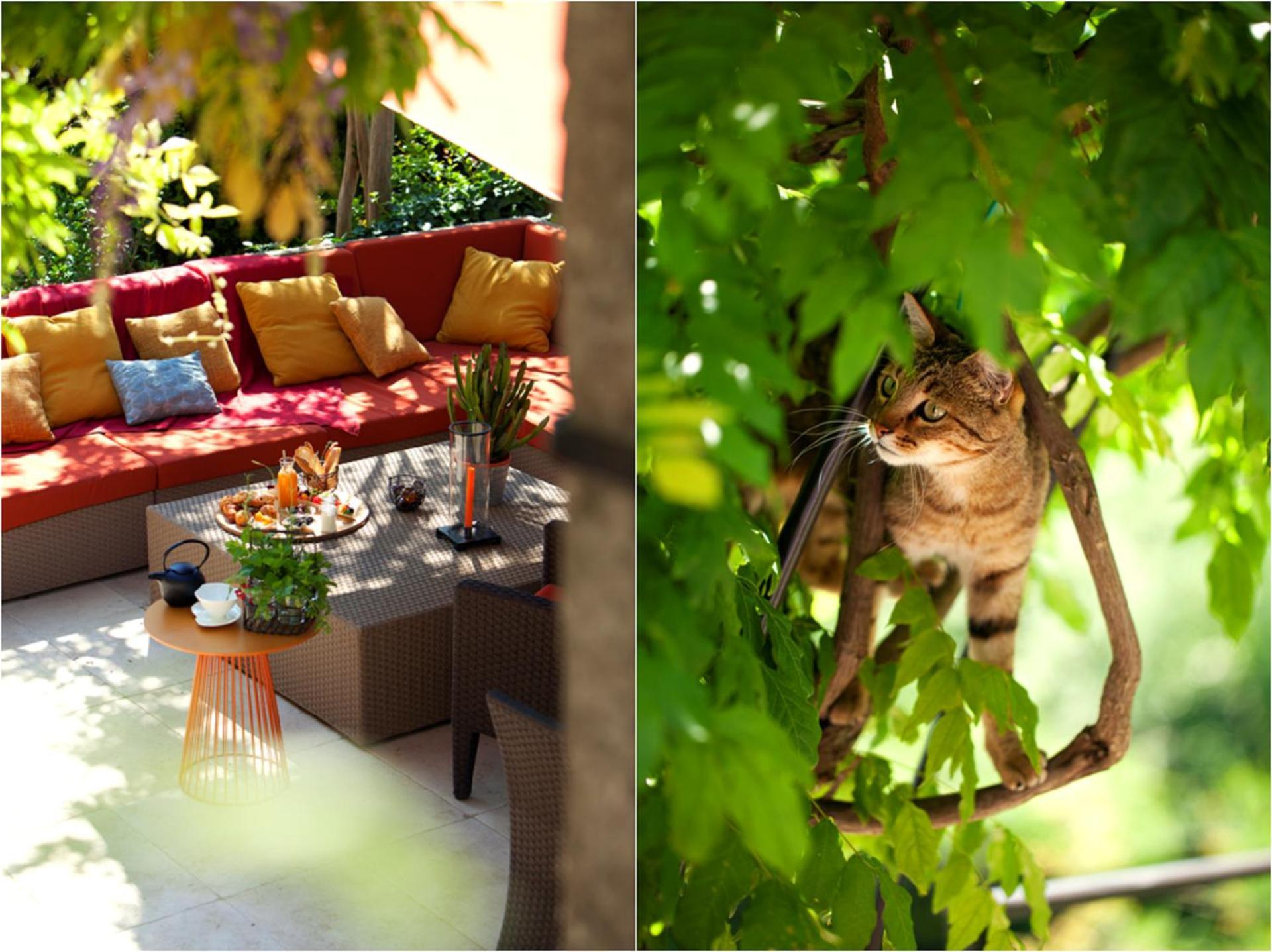 Mas De L'Amarine Hotel Saint-Remy-de-Provence Bagian luar foto